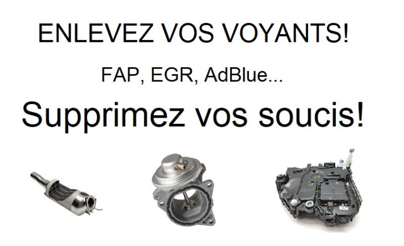 Supression des voyants moteur à domicile. Solution AdBlue, EGR ou FAP à Carcassonne, Narbonne, Béziers, Sète ou Montpellier