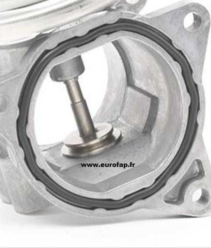 Panne de vanne EGR proche de Lyon? Contactez EUROFAP, solutions qualité prix à domicile ou garage partenaire